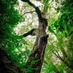 b-k-BWKzvSJnVS8-unsplash b-k-BWKzvSJnVS8-unsplash