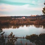 magda-kmiecik-x7QWHG4AfrU-unsplash magda-kmiecik-x7QWHG4AfrU-unsplash